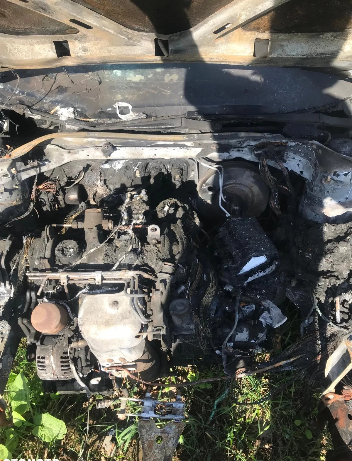 Volkswagen Golf cena 2300 przebieg: 218000, rok produkcji 2011 z Choszczno małe 79
